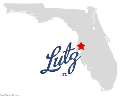 Pool Service - Pool Maintenance Lutz FL